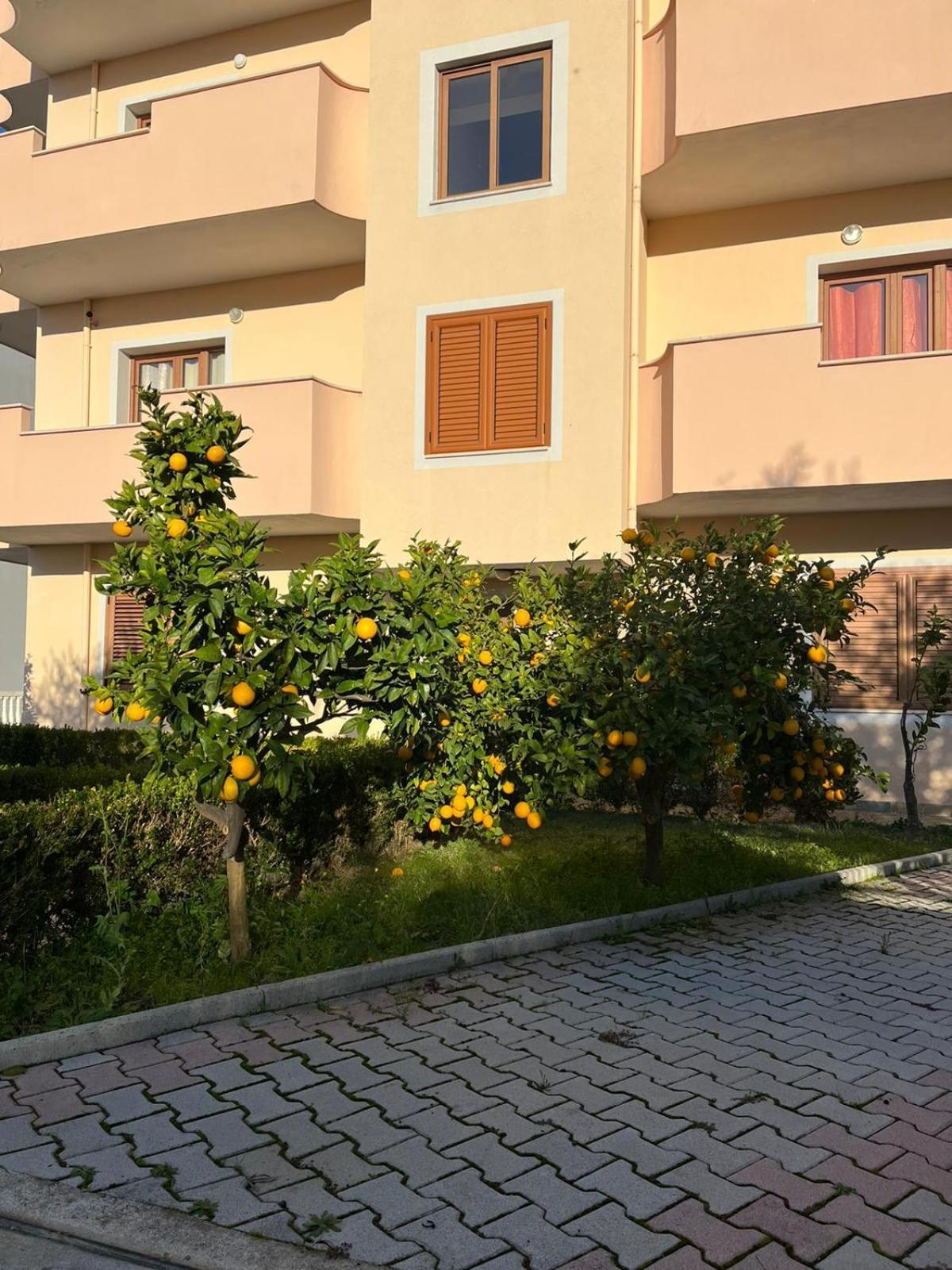 Villa Dei Limoni Škalngur Esterno foto