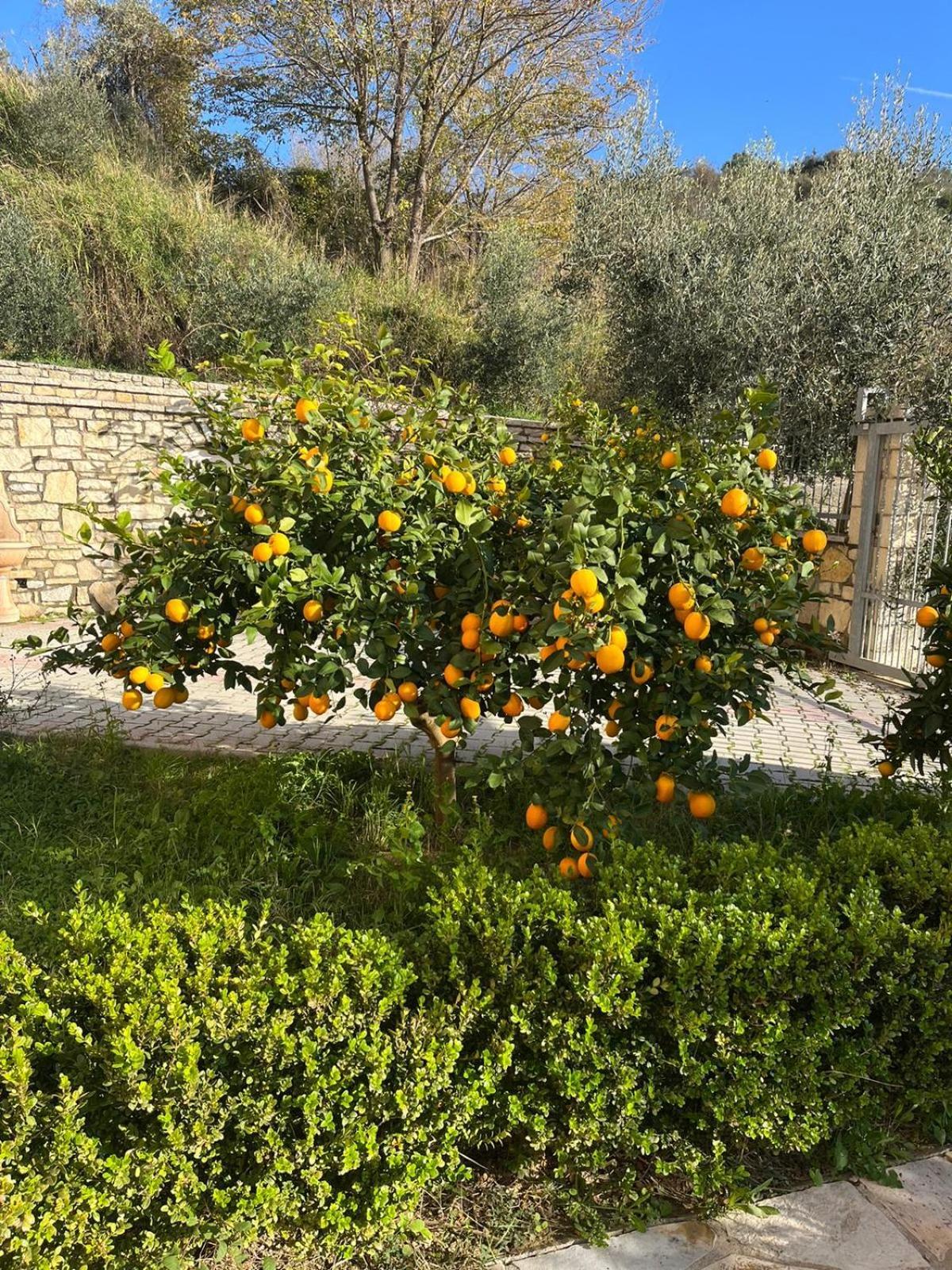 Villa Dei Limoni Škalngur Esterno foto